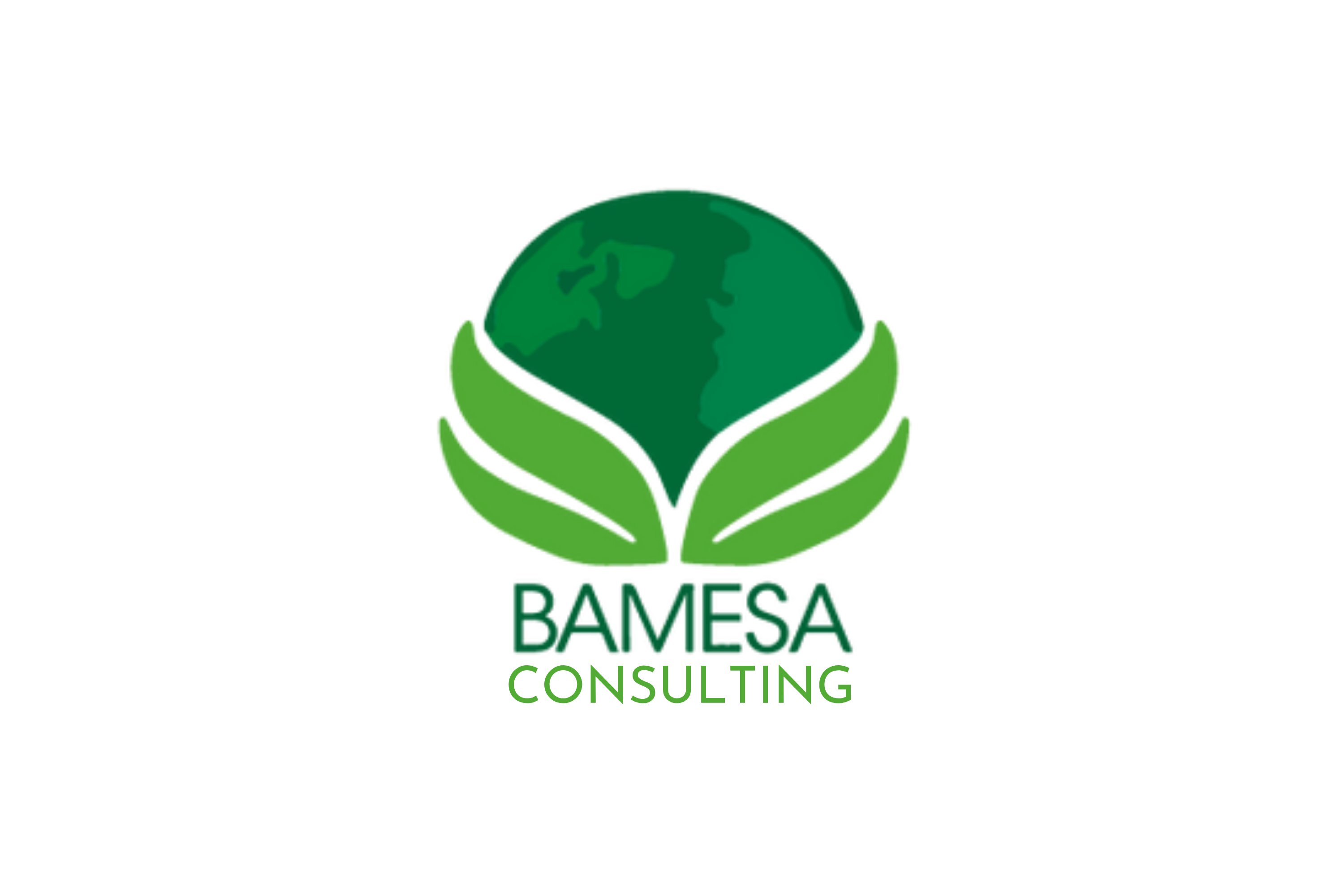 Bamesa Consulting